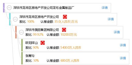 深圳市龙岗区房地产开发公司龙宅金属制品厂